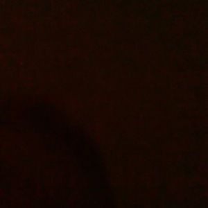 Meet your Posher, Lexi